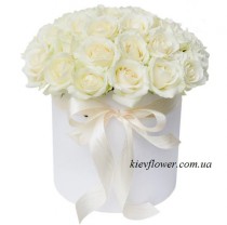 31 white roses in a box